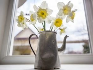 Image of flowers in kettle