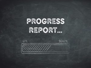 Progress Report