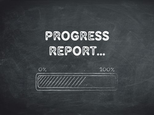 Progress Report